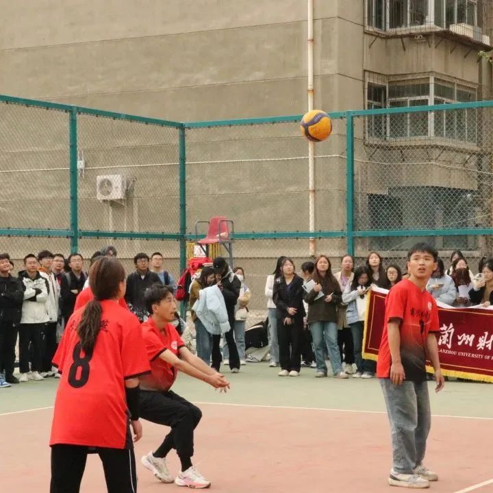 16585